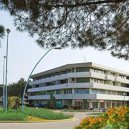 Newton Bibione